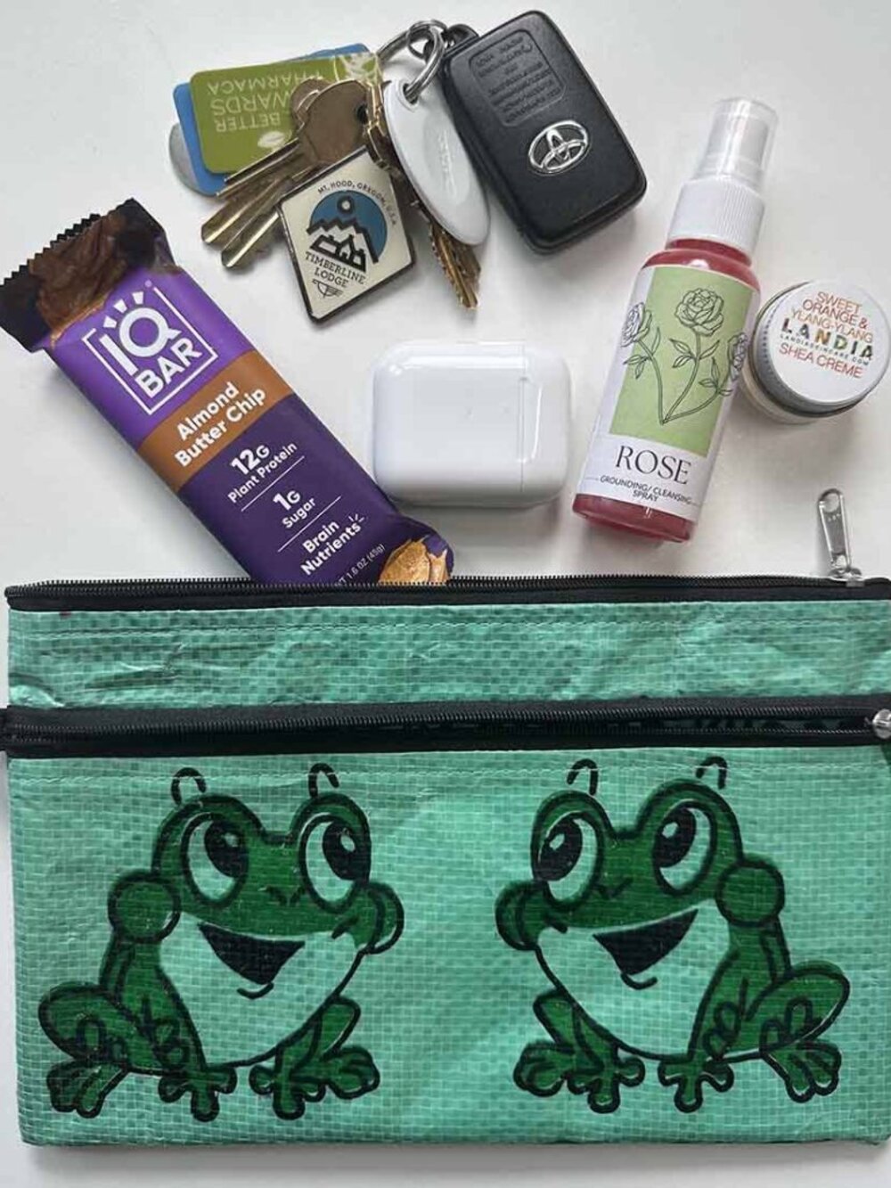 Green Frog Recycled Double Zip Pouch